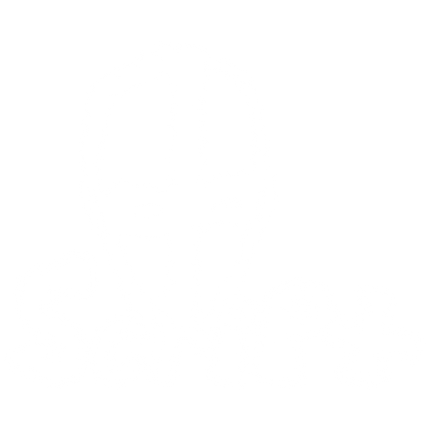 Script
