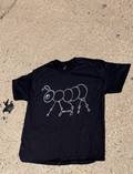 ant_