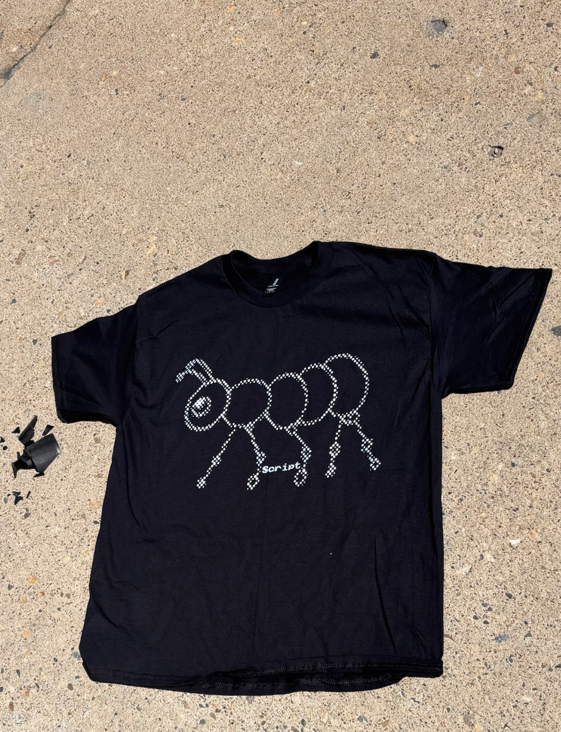 ant_
