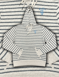 StripeHood_